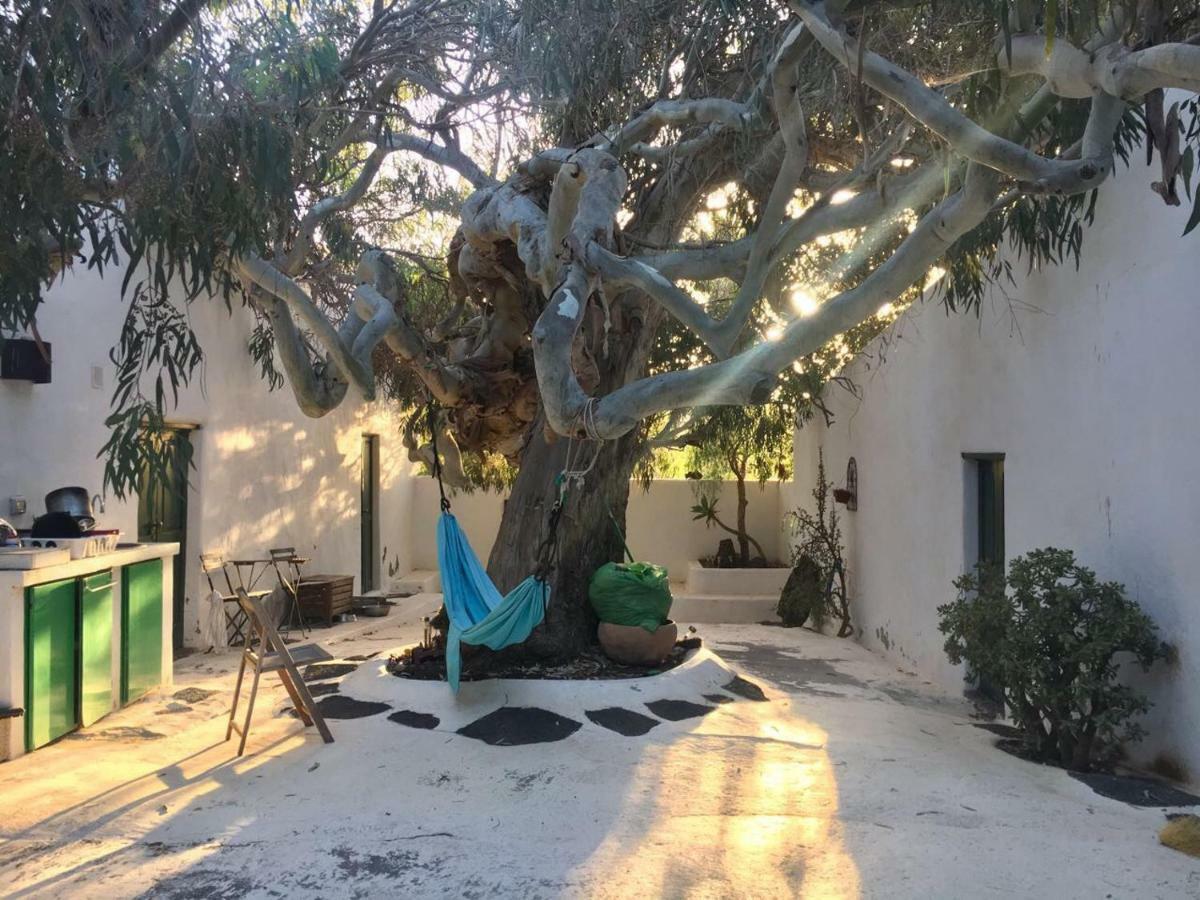 Patio II Studio At Finca La Asomada  외부 사진